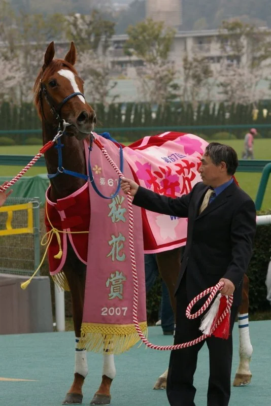 Daiwa Scarlet thumbnail 4
