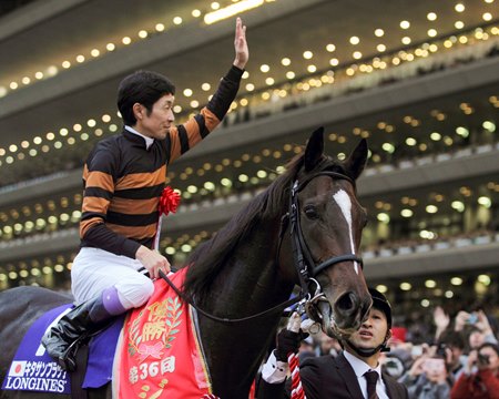 Kitasan Black thumbnail 5