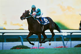 Mejiro Dober thumbnail 4