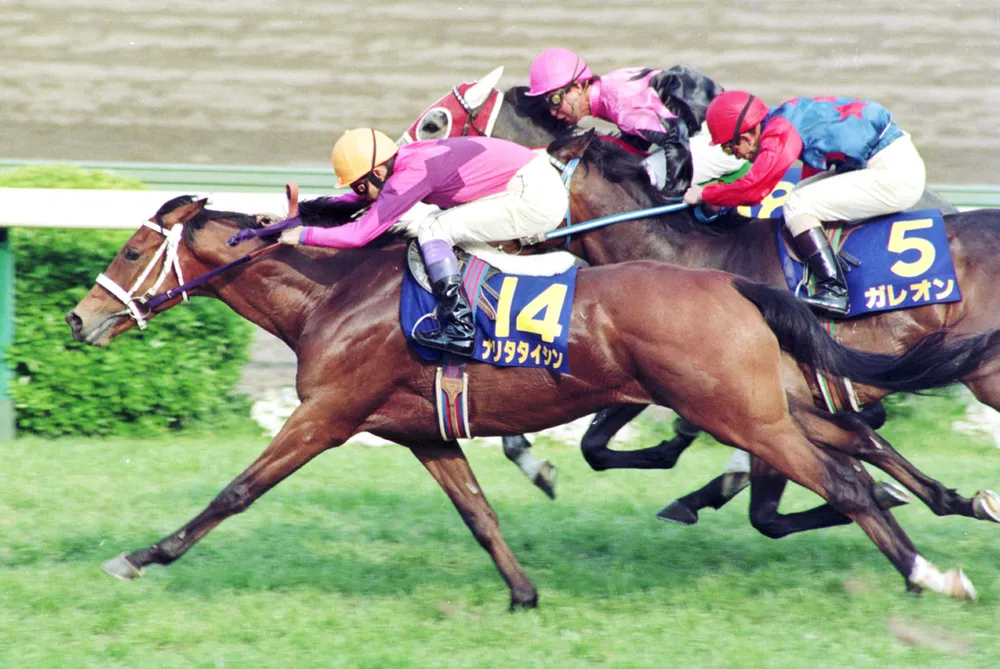 Narita Taishin gallery image