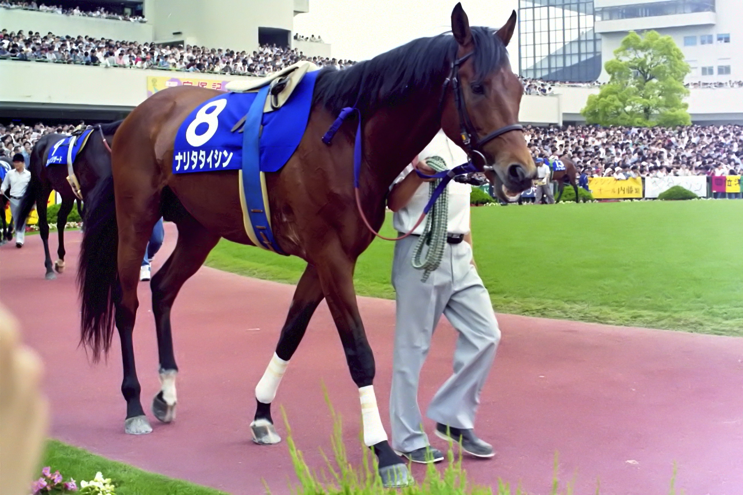 Narita Taishin thumbnail 2