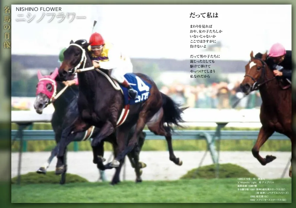 Nishino Flower thumbnail 2