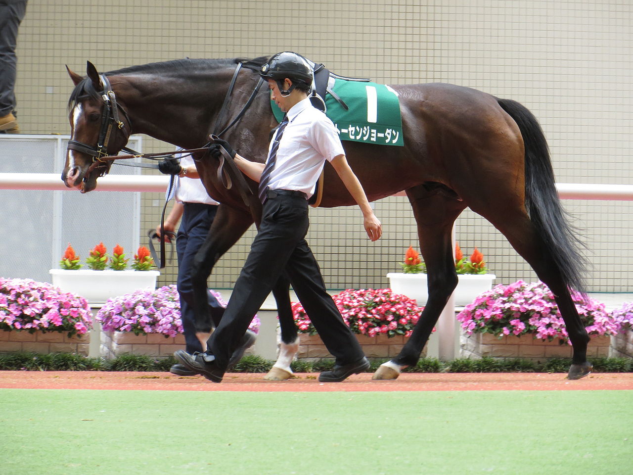 Tosen Jordan gallery image
