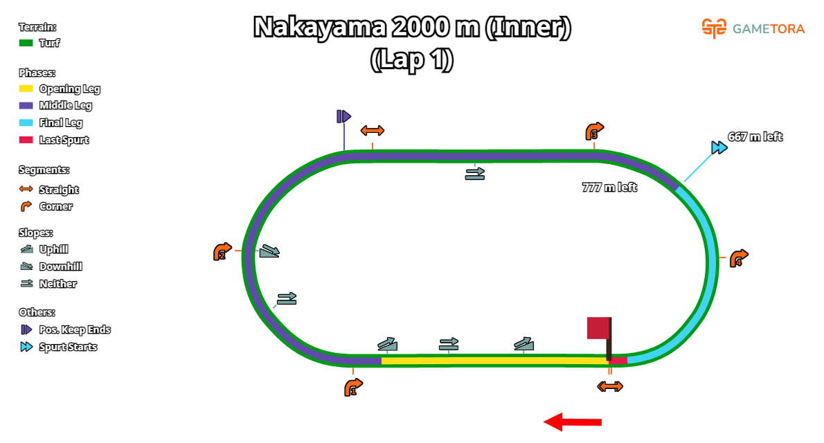 Nakayama Turf 2000 Inner game map