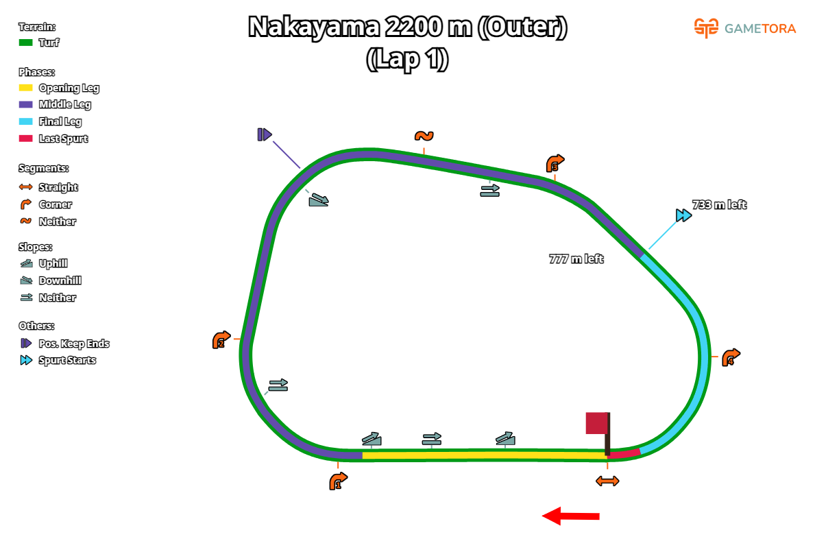 Nakayama Turf 2200 Outer game map
