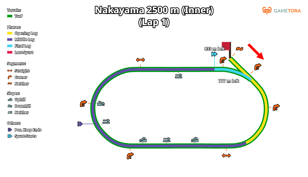 Nakayama Turf 2500 Inner game map